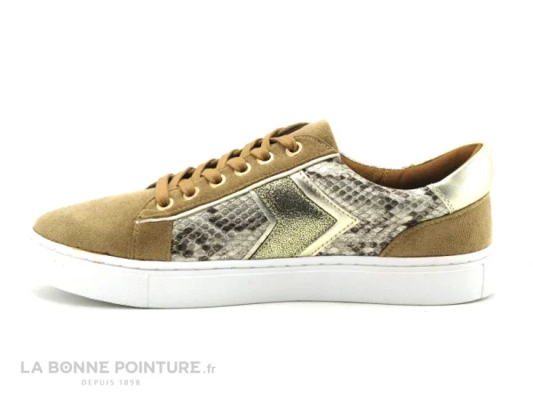 Protections acheteurs Acheter ⭐ The Divine Factory QL4704 Taupe – Or Python – 👟 Sneakers Femme 🛒 4